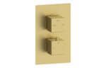 Cielix Thermostatic Two Outlet Twin Shower Valve - Brushed Brass
