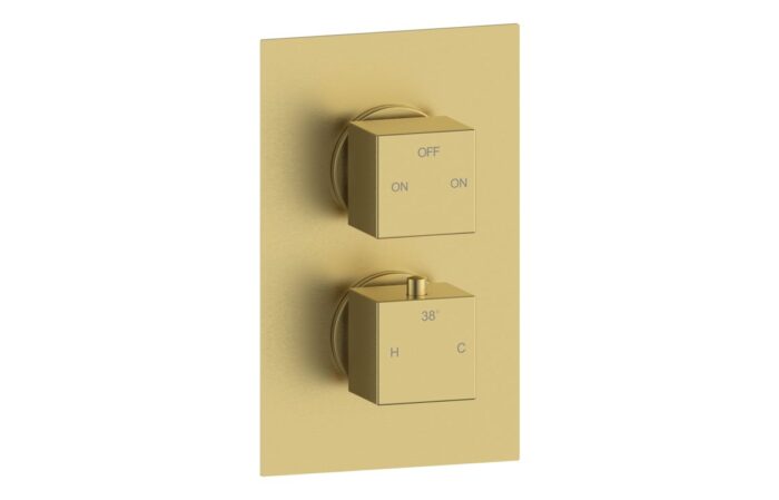 Cielix Thermostatic Two Outlet Twin Shower Valve - Brushed Brass