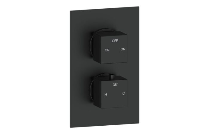 Cielix Thermostatic Two Outlet Twin Shower Valve - Matt Black