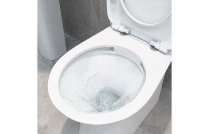 Costa Rimless Back To Wall WC & Soft Close Seat