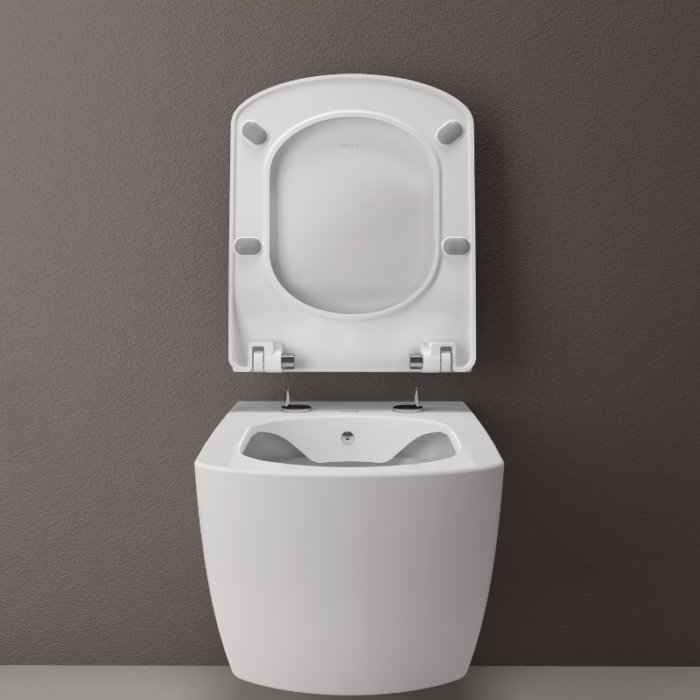 Bellissimo Rimless Wall Hung Combined Bidet Toilet - Integrated