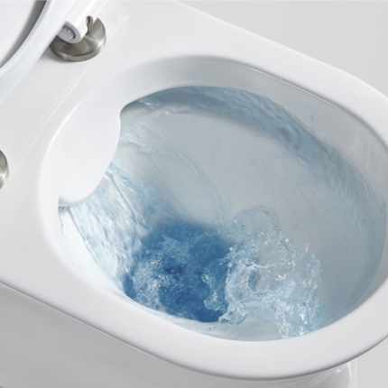 Rimless Toilets